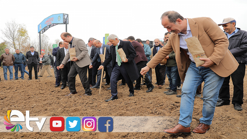 YERLİ TOHUM TOPRAKLA BULUŞTU