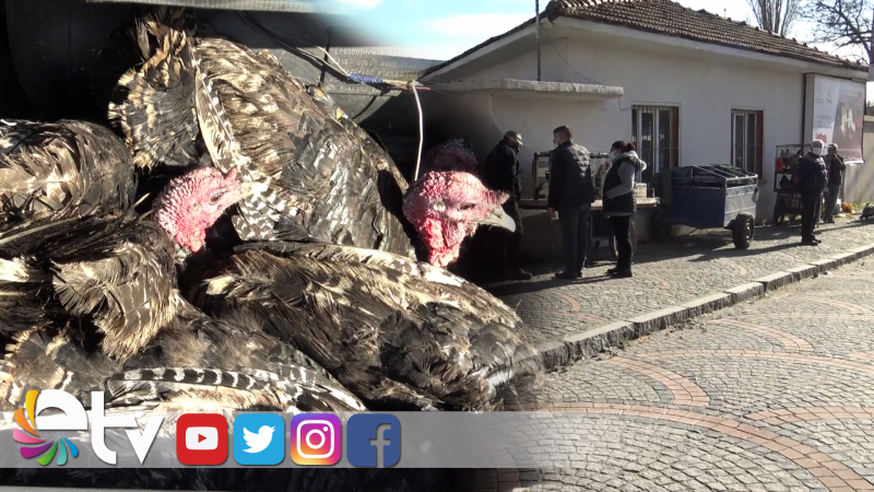 YILBAŞI HİNDİLERİ BEKLENEN İLGİYİ GÖRMEDİ