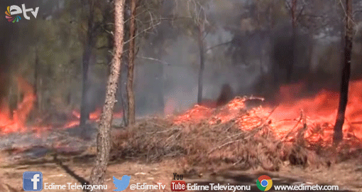 YİNE ORMAN YANGINI!