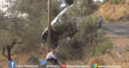 ZEYTİN AĞACI KURTARDI