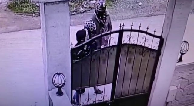 4 ayrı evden 200 bin lira değerinde ziynet eşyası ve para çaldılar Sakarya’da 4 evden yaklaşık 200 bin lira değerinde ziynet eşyası ve para çaldığı belirlenen 3 şüpheliden biri tutuklandı. Şüphelilerin Bursa ve ...