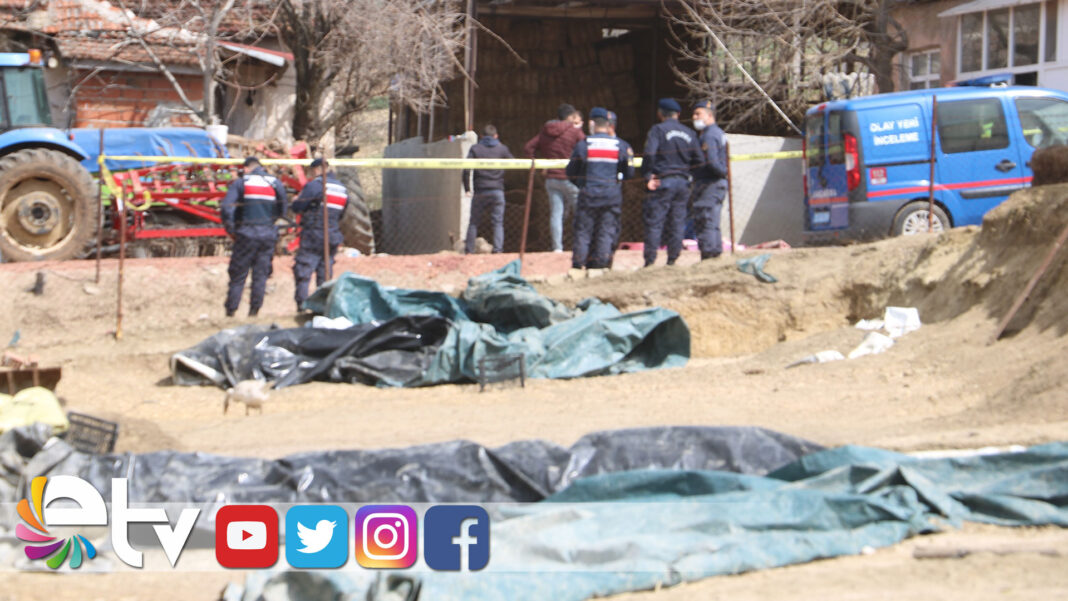 AILEKATLIAMIYAKINLAR