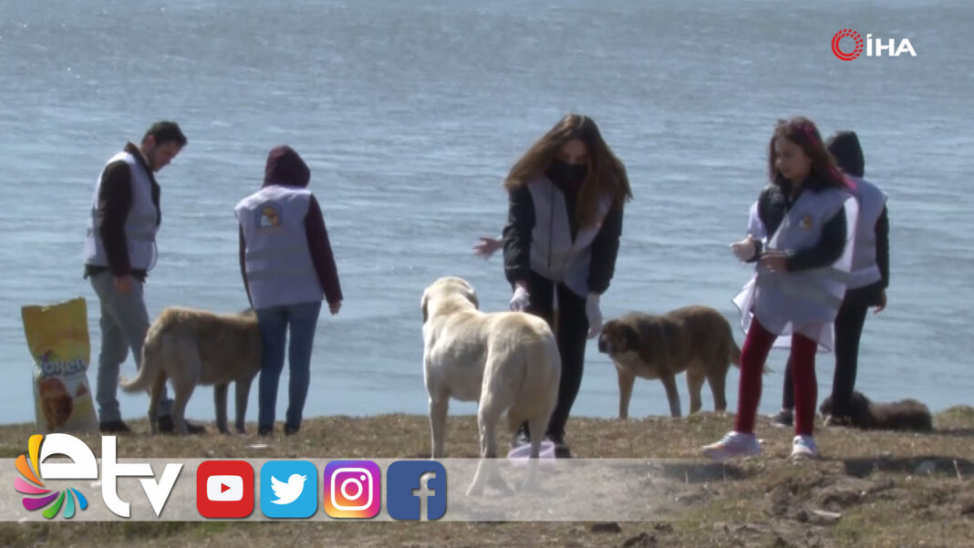 GONULLUGENCLERKIRSALBOLGEHAYVAN