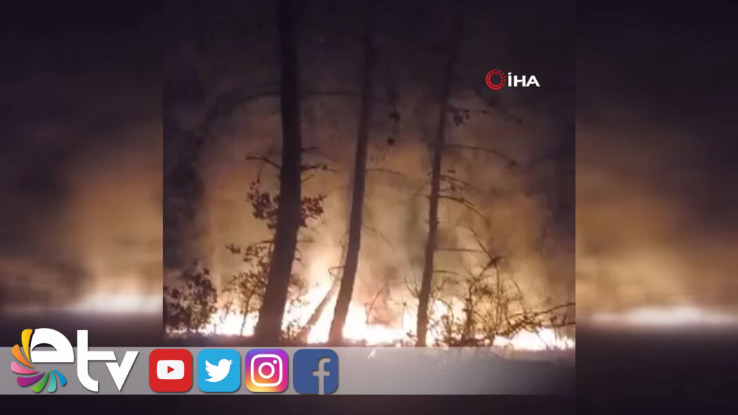 KORKUTAN ORMAN YANGINI