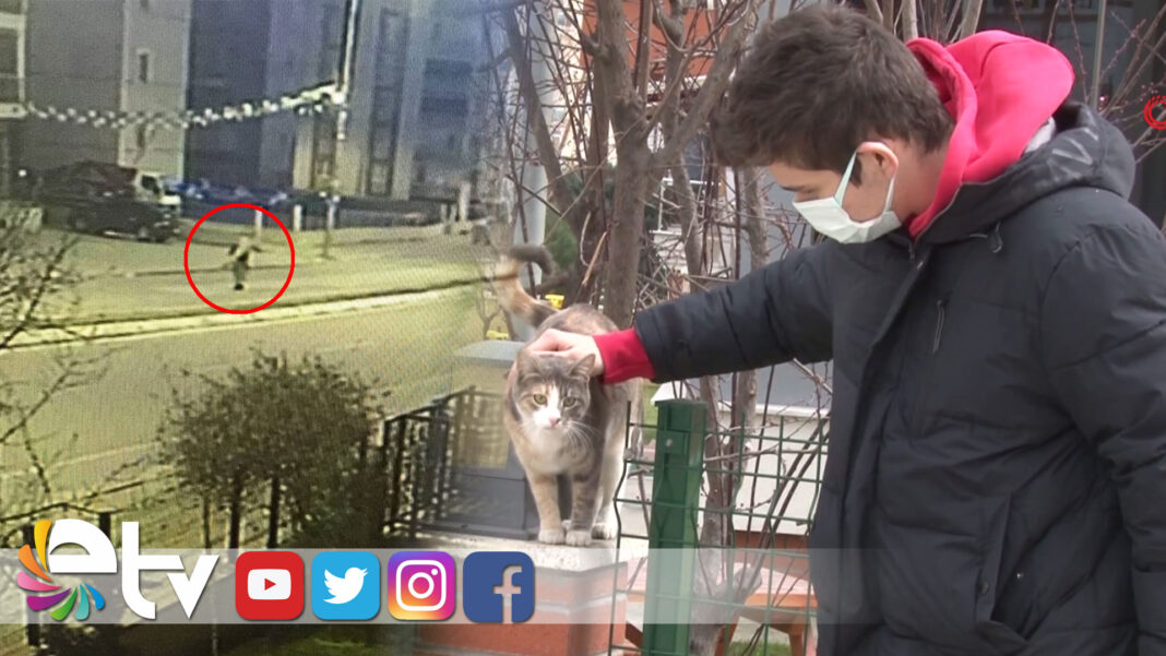 MAMAKAPLARINICALDILAR