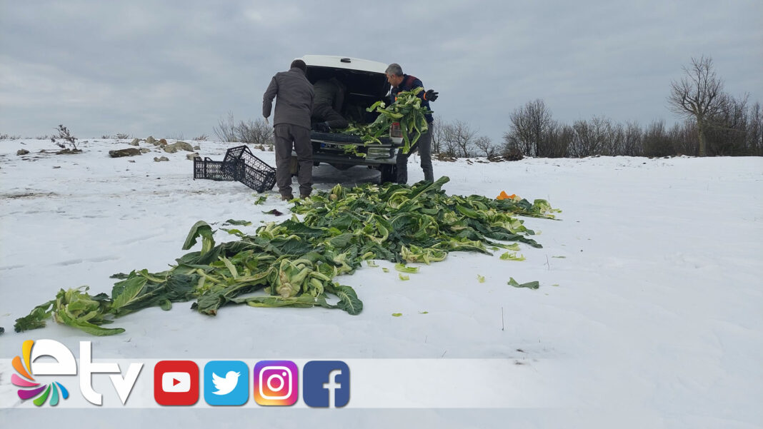 YABAN HAYATINA 22 TON YEM BIRAKILDI
