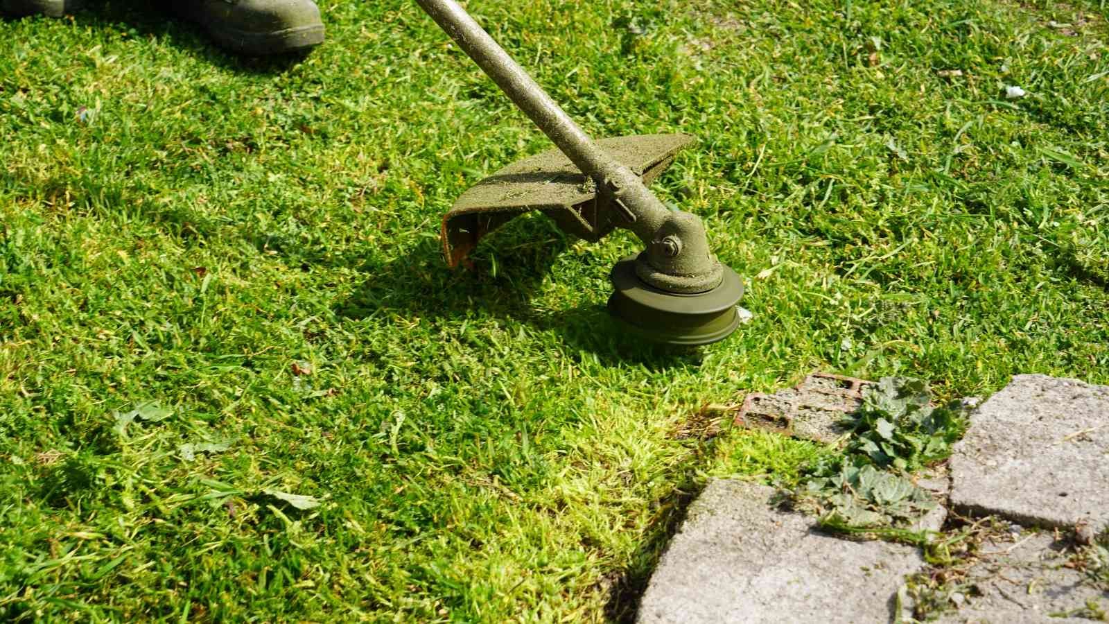 Altıeylül bahara hazırlanıyor Altıeylül Belediyesi Park ve Bahçeler Müdürlüğü’ne bağlı ekipler ilçe genelinde bahar temizliğine başladı. Park ve Bahçeler Müdürlüğü’ne bağlı ...