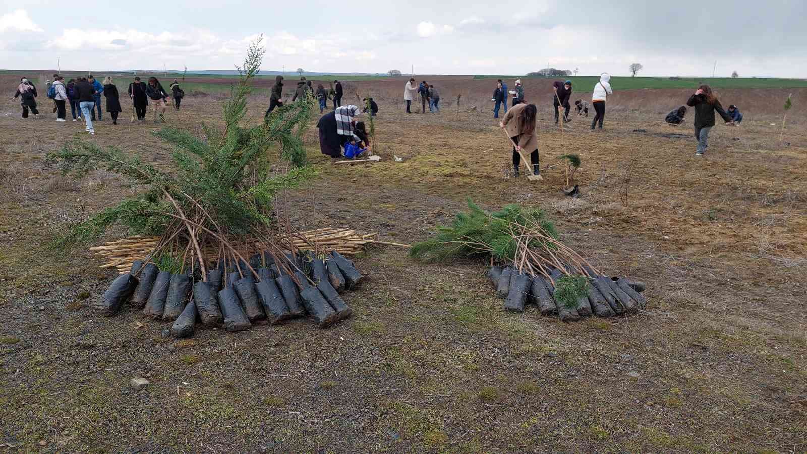 Bu fidanlar pandeminin baş kahramanları için boy gösterecek Korona virüs pandemisinde hayatını kaybeden sağlık çalışanları için Tekirdağ’ın Süleymanpaşa ilçesinde fidan dikim etkinliği gerçekleştirildi ...