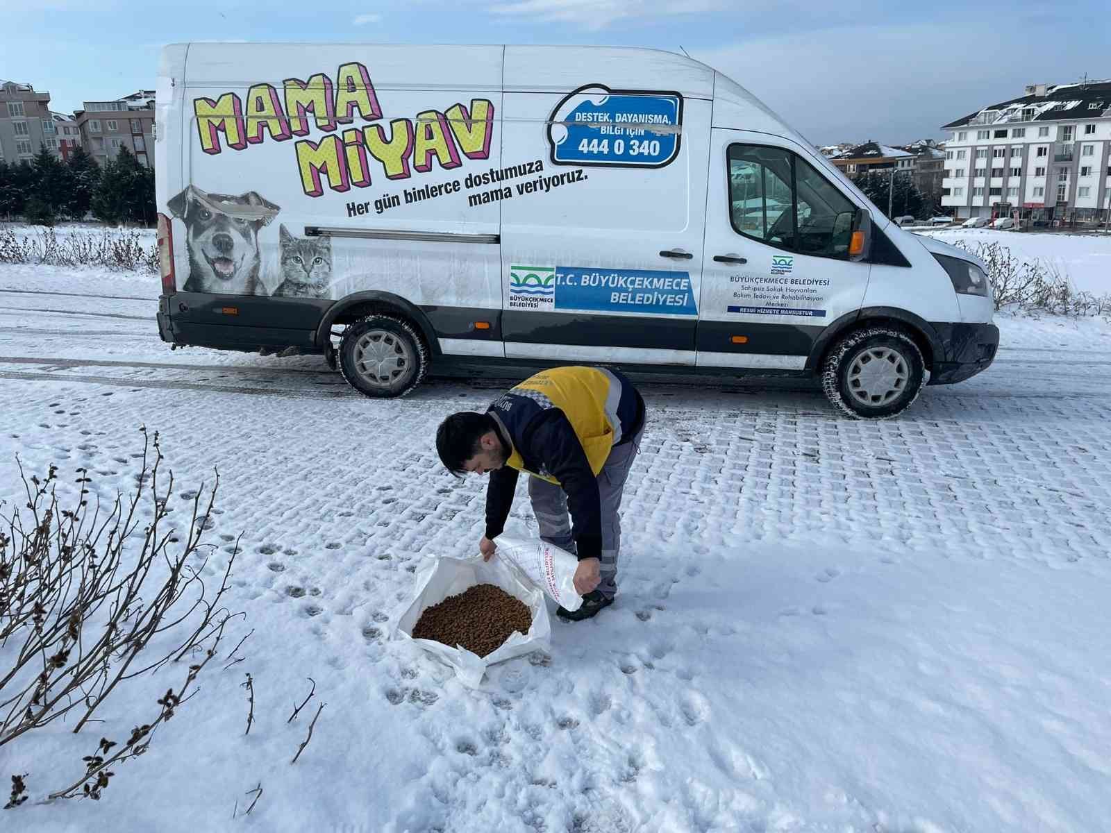 Büyükçekmece kar yağışına teslim olmadı İstanbul’da 3 gündür devam kar yağışı zaman zaman Büyükçekmece’de de yoğun olarak etkisini gösterirken, Büyükçekmece Belediyesi ekipleri 65 araç ...