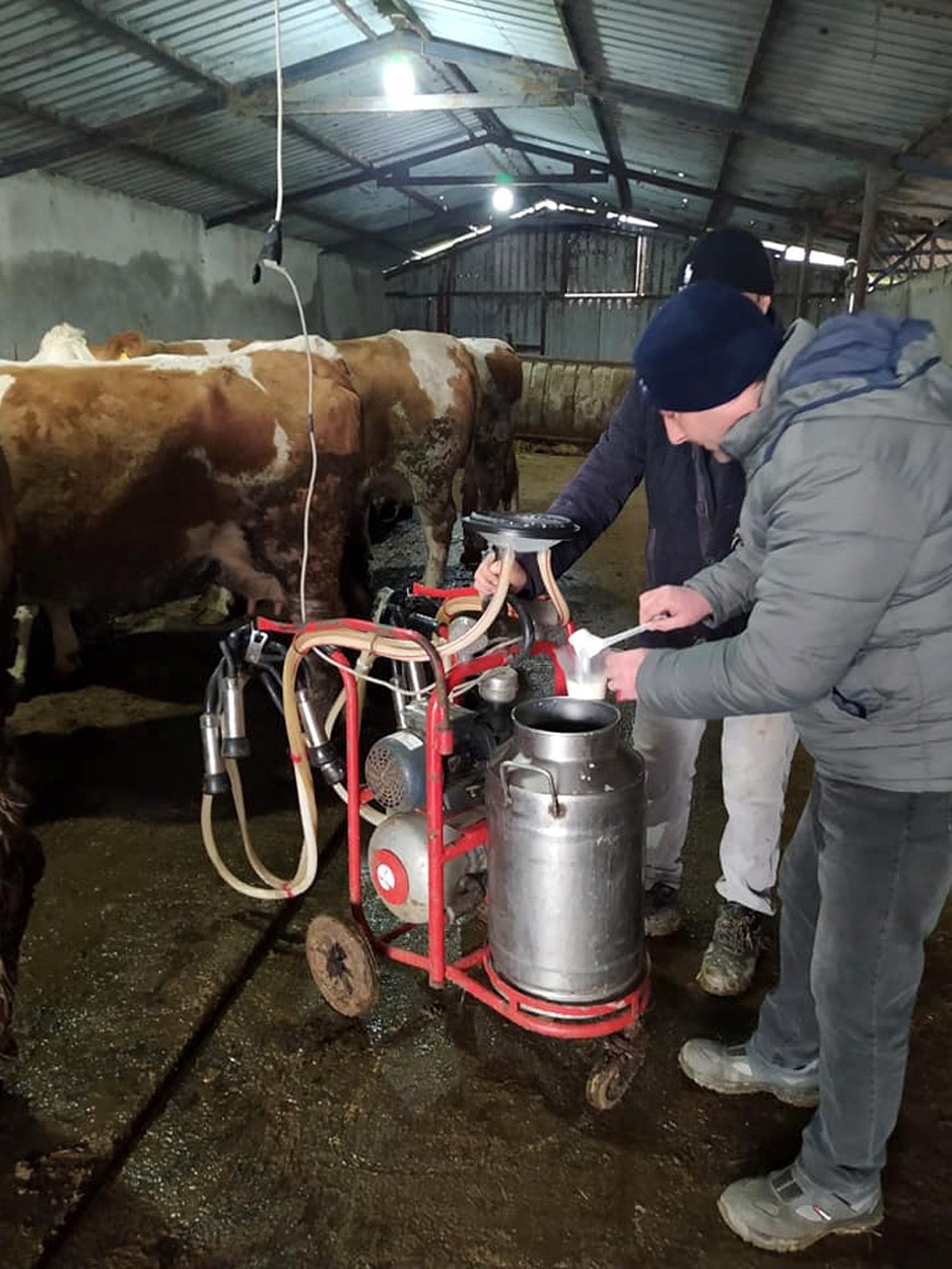 Çiğ sütler sınıflandırılıyor Tarım ve Orman Bakanlığı tarafından Bursa’nın ilçelerinde üretimi yapılan çiğ sütler sınıflandırılıyor . Tarım ve Orman Bakanlığı’nın çiğ sütün ...