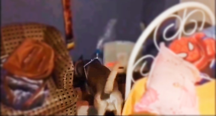 Edirne’de uyuşturucu operasyonunda 11 adrese baskın yapıldı Edirne’de uyuşturucu satıcılarına yönelik 11 adrese gerçekleştirilen operasyonda 15 şüpheli gözaltına alındı, çok sayıda uyuşturucu madde ele ...