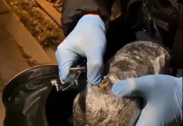 Edirne’de uyuşturucu operasyonunda 11 adrese baskın yapıldı Edirne’de uyuşturucu satıcılarına yönelik 11 adrese gerçekleştirilen operasyonda 15 şüpheli gözaltına alındı, çok sayıda uyuşturucu madde ele ...