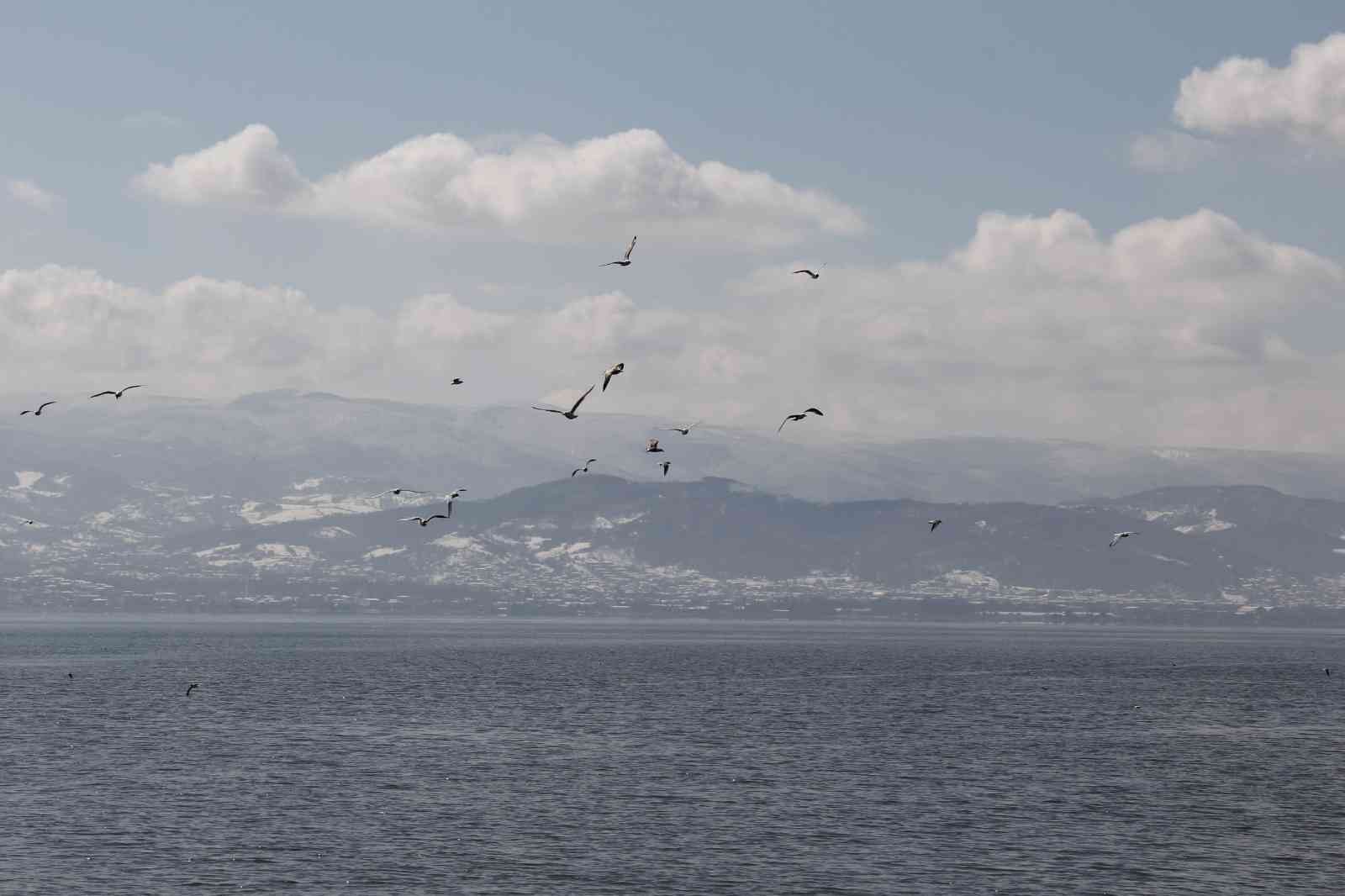 Gece fırtına, gündüz güneş KOCAELİ (İHA) – Kocaeli’de 3 gün süren yoğun kar yağışının ardından güneşli havayı fırsat bilen vatandaşlar sahile akın etti. Yürüyüş yapmak için ...