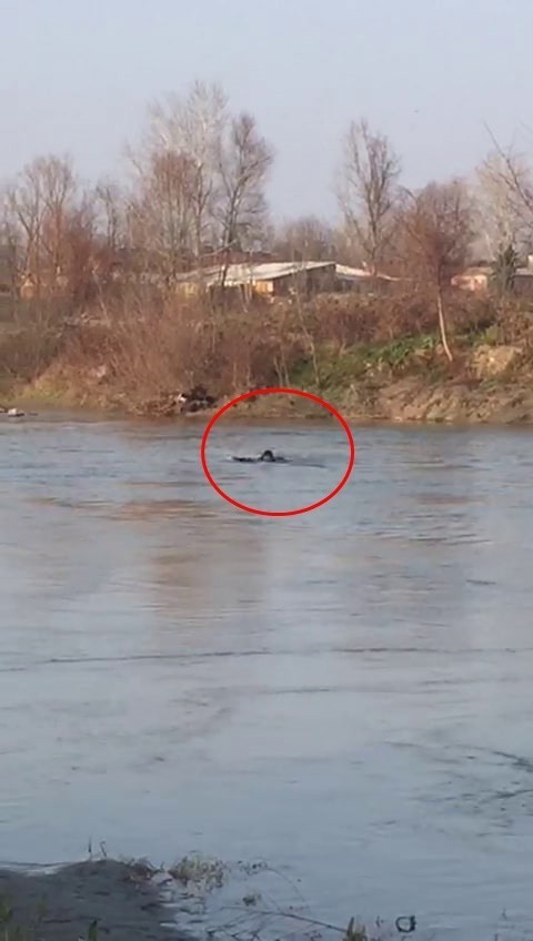 Sakarya Nehri’ne girdikten sonra bir daha haber alınamayan 31 yaşındaki Salih Şimşek’i bulabilmek için ekipler seferber oldu. AFAD, dalgıç polis ...