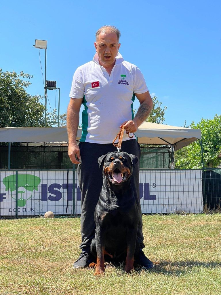 Hause Of İstanbul’da köpekler sosyal yaşama alıştırılıyor Hause of İstanbul eğitim merkezi sorumlusu Şenol Tunc, merkezlerinde köpeklerin sosyal yaşama adapte edildiğini söyledi. Köpek eğitiminin genel ...