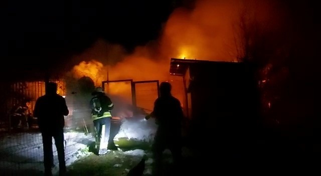 Hayvanların bulunduğu ahır alev alev yandı Kocaeli’nin Gebze ilçesinde hayvanların bulunduğu ahır alev alev yandı. Yangın, Kocaeli’nin Gebze ilçesi Balçık Mahallesi 3278 Sokak üzerinde ...