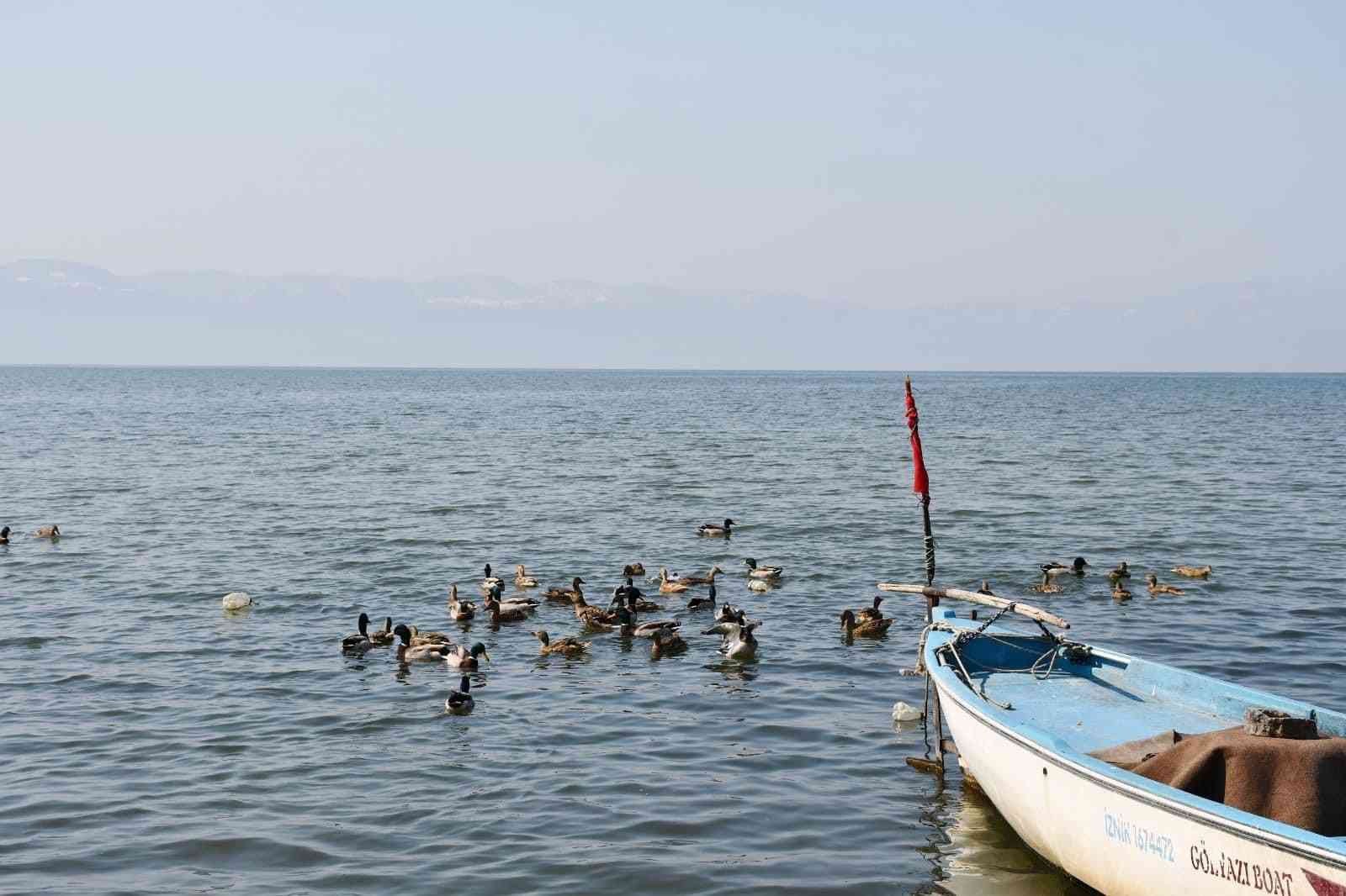 İznik Gölü’nde kaçak avcılardan kurtarılan 56 ördek artık özgür Bursa’nın İznik ilçesinde kaçak avcılardan kurtarılan 56 ördek tedavilerinin ardından özgürlüğüne kavuşturuldu. Jandarma; İznik Çakırca Köyünde ...