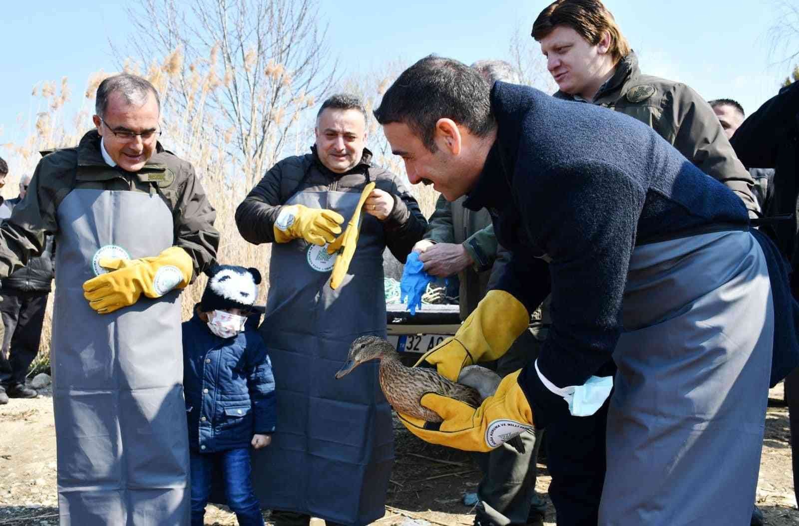 İznik Gölü’nde kaçak avcılardan kurtarılan 56 ördek artık özgür Bursa’nın İznik ilçesinde kaçak avcılardan kurtarılan 56 ördek tedavilerinin ardından özgürlüğüne kavuşturuldu. Jandarma; İznik Çakırca Köyünde ...