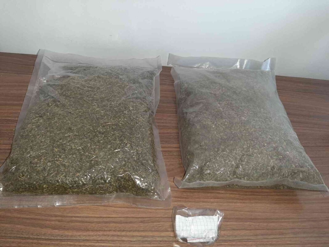 jandarmadan-uyusturucu-operasyonu-2-kiloya-yakin-bonzai-ele-gecirildi-mHlymvIu.jpg
