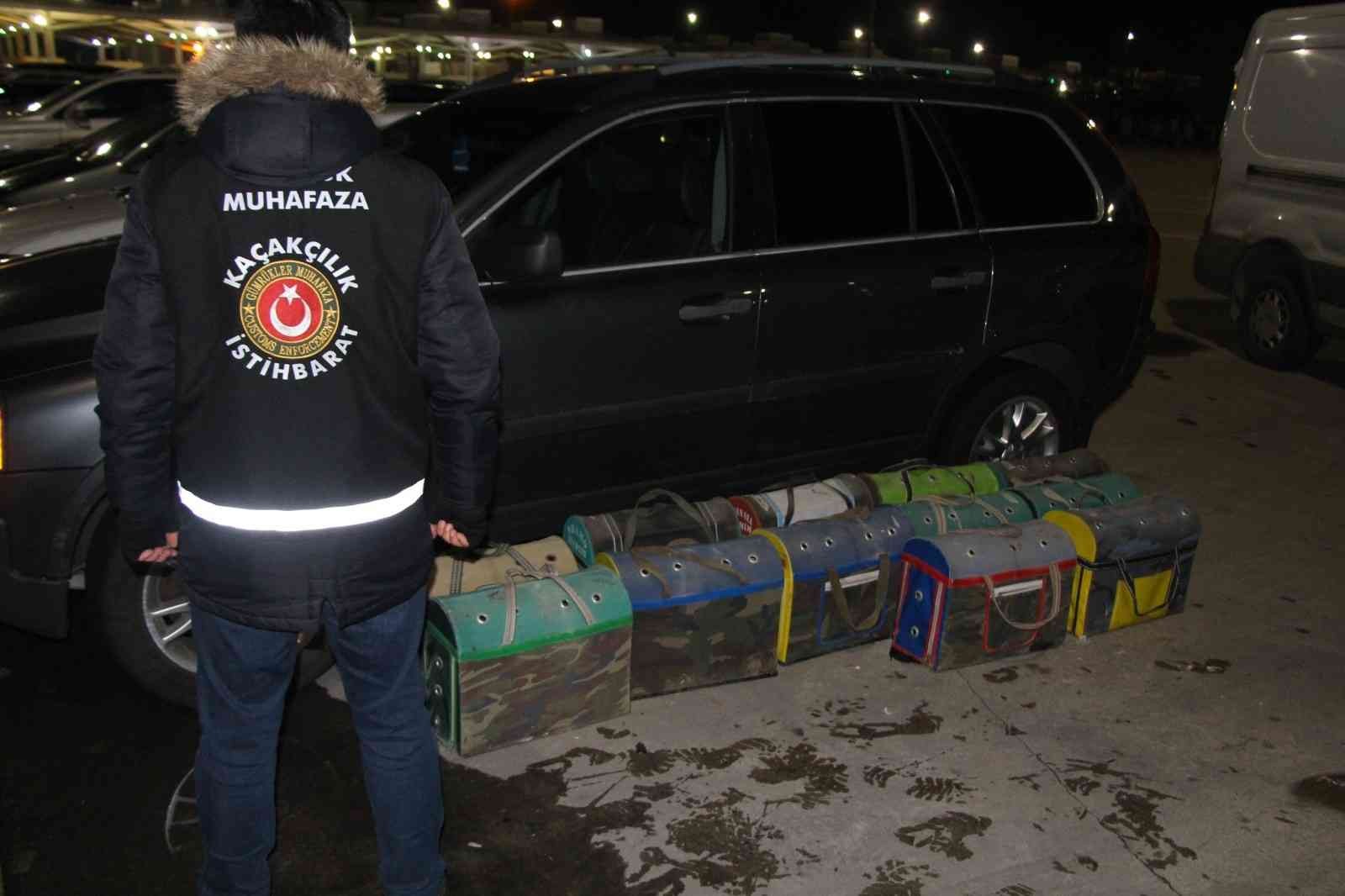 Kapıkule’de kaçak dövüş horozları yakalandı Edirne’deki Kapıkule Sınır Kapısı’nda çantalar içinde Bulgaristan’dan getirilmiş 34 adet canlı yavru dövüş horozu ve tavuk ele geçirildi ...