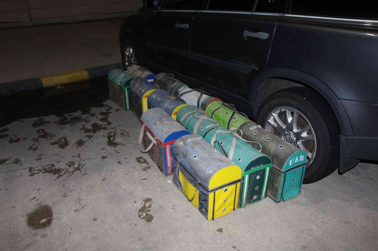 Kapıkule’de kaçak dövüş horozları yakalandı Edirne’deki Kapıkule Sınır Kapısı’nda çantalar içinde Bulgaristan’dan getirilmiş 34 adet canlı yavru dövüş horozu ve tavuk ele geçirildi ...