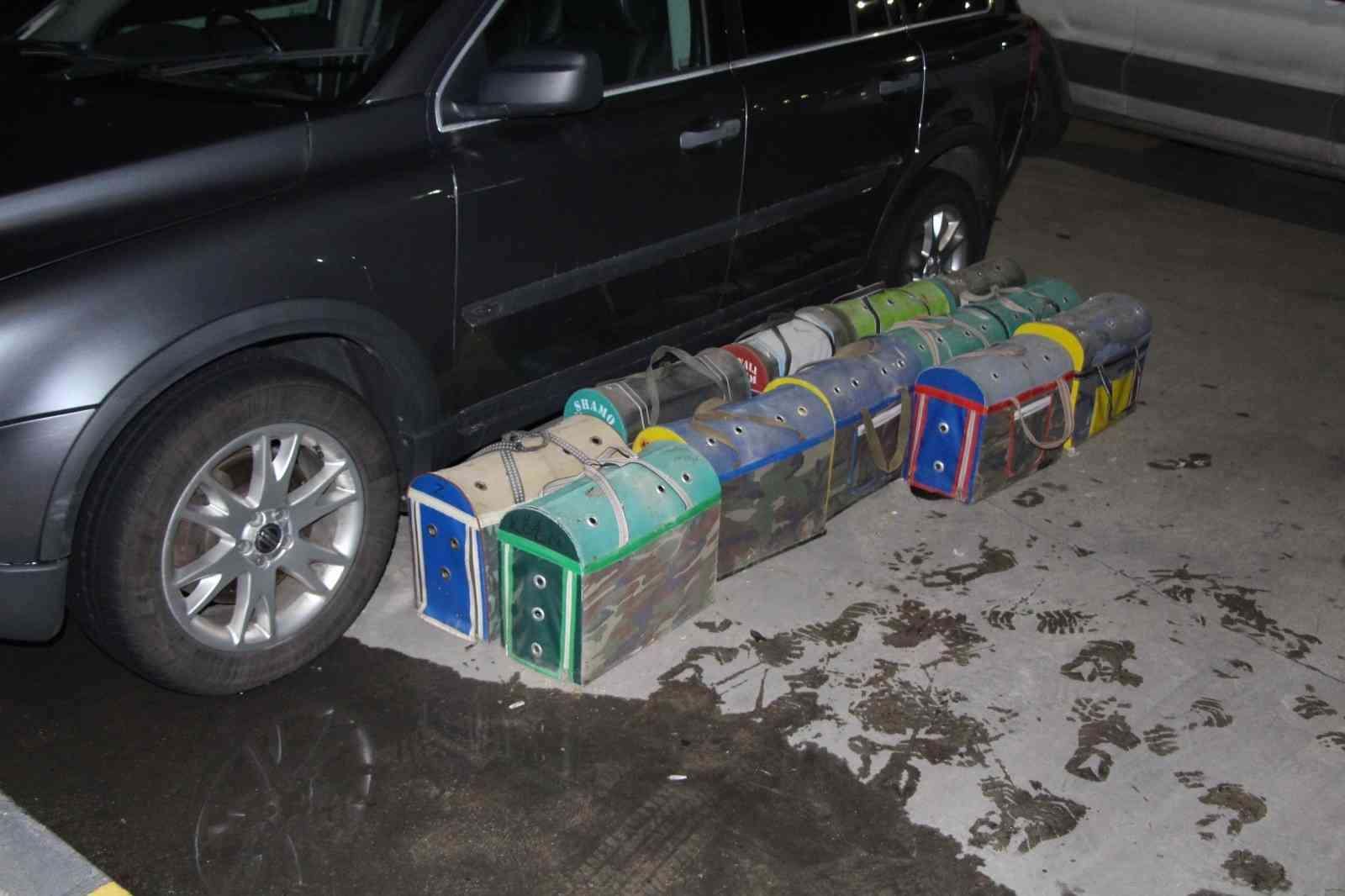 Kapıkule’de kaçak dövüş horozları yakalandı Edirne’deki Kapıkule Sınır Kapısı’nda çantalar içinde Bulgaristan’dan getirilmiş 34 adet canlı yavru dövüş horozu ve tavuk ele geçirildi ...