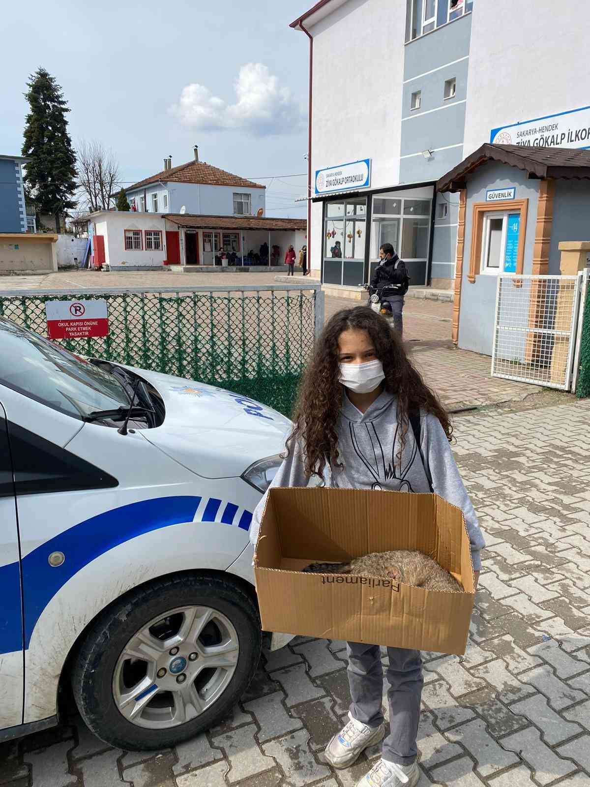 Kız çocuğunun dikkati anne kedinin hayatını kurtardı Sakarya’nın Hendek ilçesinde 5. sınıfa giden kız çocuğu, doğum yapmakta zorlanan kediye polis memuru babasıyla yardım etti. Veteriner ...