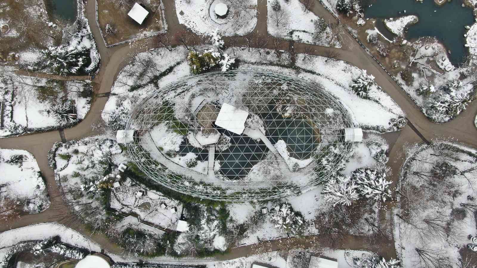 (Özel) Bursa’da kar altında penguenlerin beslenme saati Bursa Hayvanat Bahçesi’nde soğuğu seven hayvanlar mart ayında yağan karın keyfini çıkarıyor. Kar yağışına aldırış etmeden görevliler tarafından ...