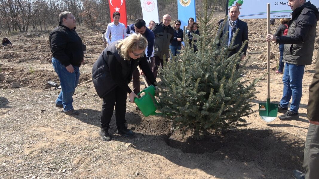 saglik-calisanlari-icin-hatira-ormani-olusturuldu-yA9nytZ9.jpg