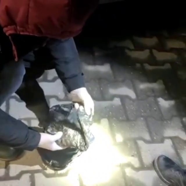 Sakarya’da uyuşturucuya geçit yok: 2 tutuklama Sakarya’da uyuşturucu ticaretini önlemek amacıyla gerçekleştirilen operasyonda gözaltına alınan 2 şüpheli çıkarıldığı mahkemece tutuklanarak ...