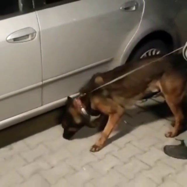 Sakarya’da uyuşturucuya geçit yok: 2 tutuklama Sakarya’da uyuşturucu ticaretini önlemek amacıyla gerçekleştirilen operasyonda gözaltına alınan 2 şüpheli çıkarıldığı mahkemece tutuklanarak ...