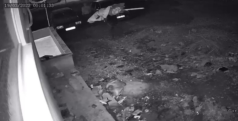 Şemsiye hırsızları önce kameraya sonra polise yakalandı Balıkesir’i Edremit ilçesinde ilginç bir hırsızlık olayı yaşandı. Bir iş yerine ait şemsiyeyi çalmak isteyen 3 hırsız, önce güvenlik kamerasına ...