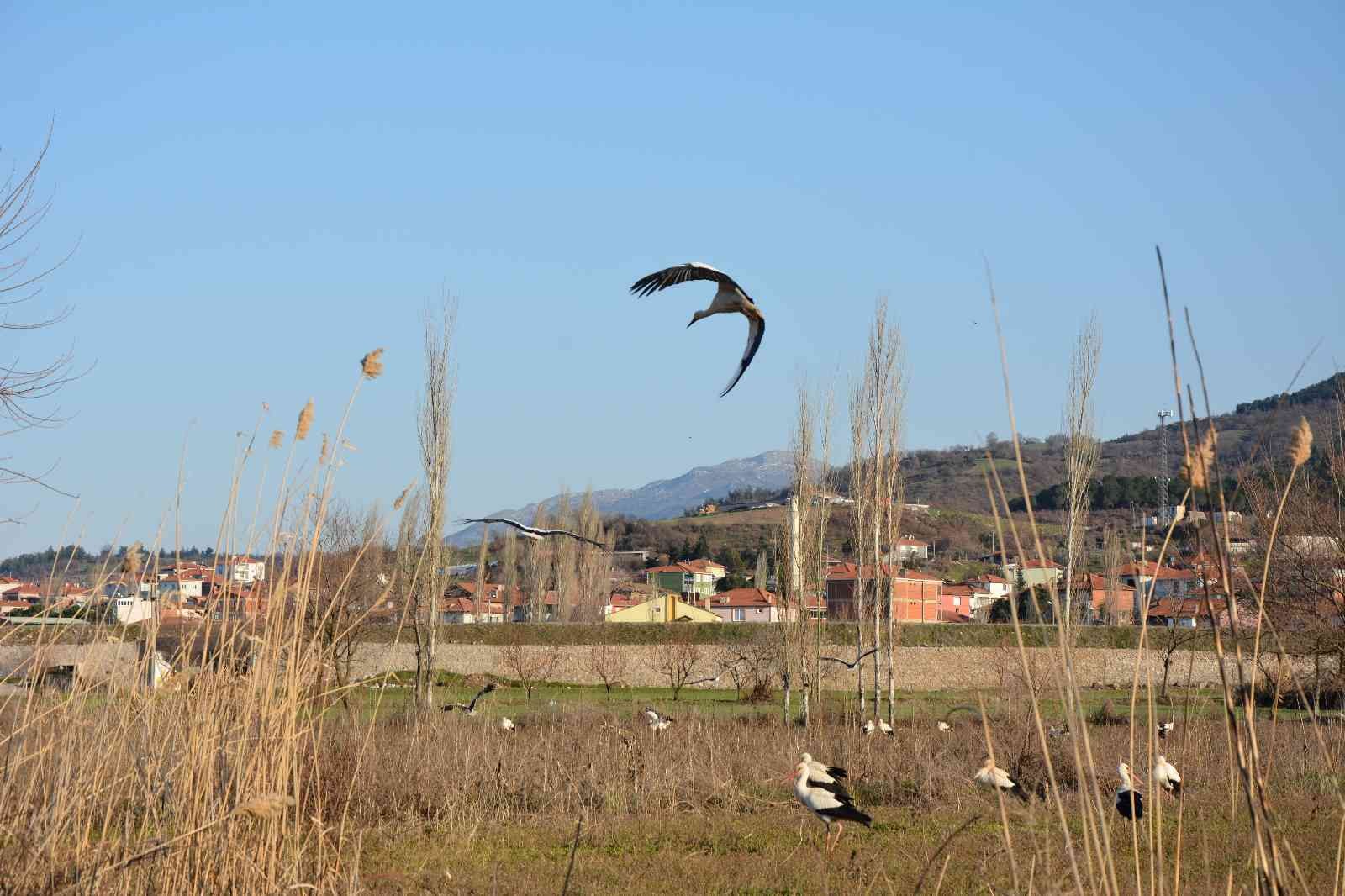 Soğuktan etkilenen leyleklere belediye ve veteriner kontrolü Balıkesir’in Sındırgı ilçesinde, leylekler Sındırgı Belediyesi tarafından takip ediliyor. Sındırgı Kocakonak Mahallesi panayır yerinde Sındırgı ...