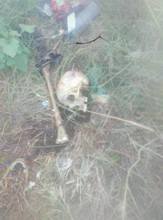 Tekirdağ’da bulunan kemikler 8 aydır kayıp olan sosyal medya fenomenine ait çıktı Tekirdağ’ın Çorlu ilçesinde piknik alandaki ağaçlık alanda bulunan insan kemikleri, 8 ay önce kayıp olarak aranan sosyal medya fenomeni Yunus ...