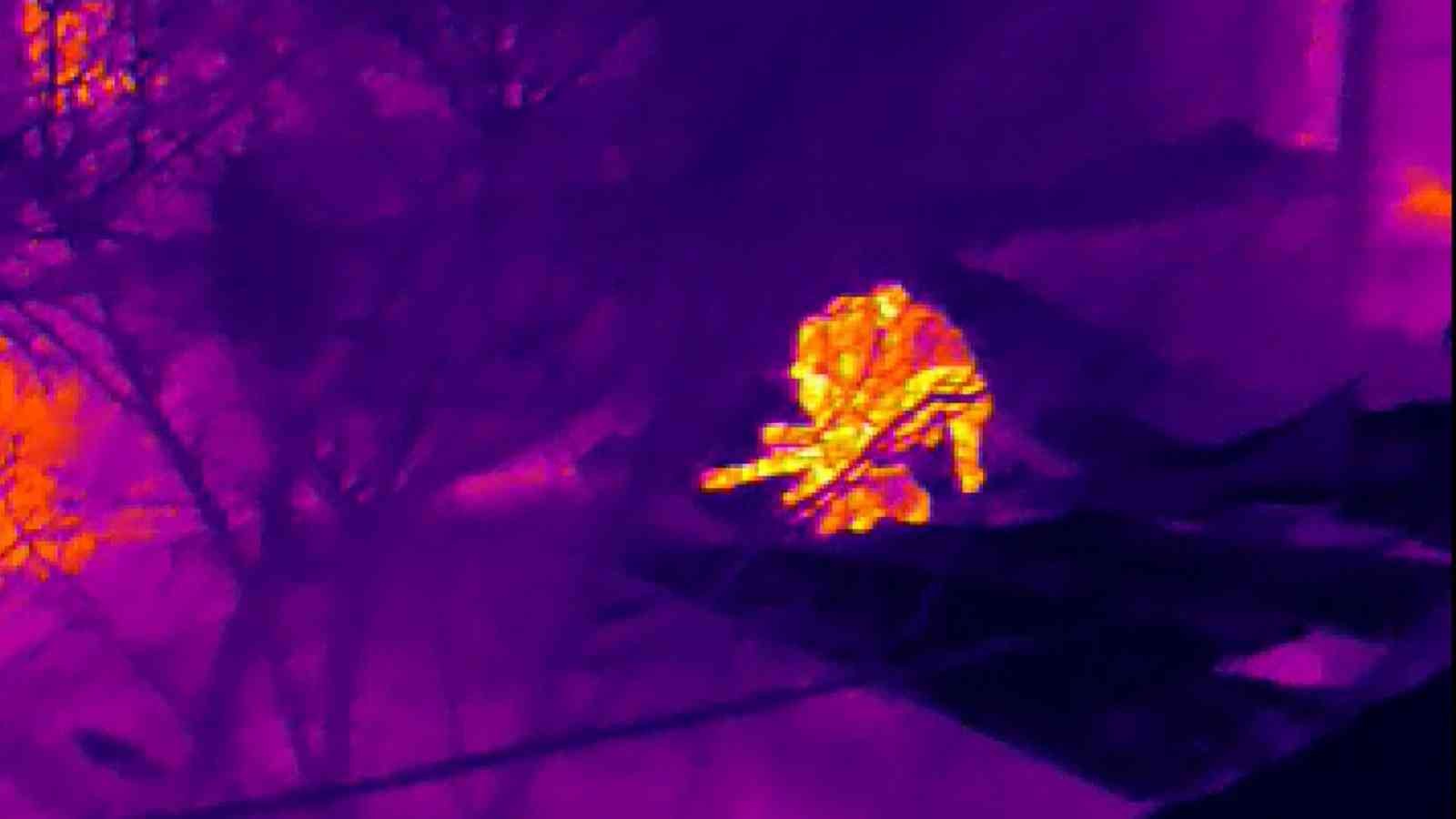 Termal dronlu büyük uyuşturucu operasyonu : 63 tutuklama Bursa merkezli 6 ilde 1500 polisin katılımıyla gerçekleştirilen dev uyuşturucu operasyonunda 82 kişi gözaltına alındı. Operasyon kapsamında ...