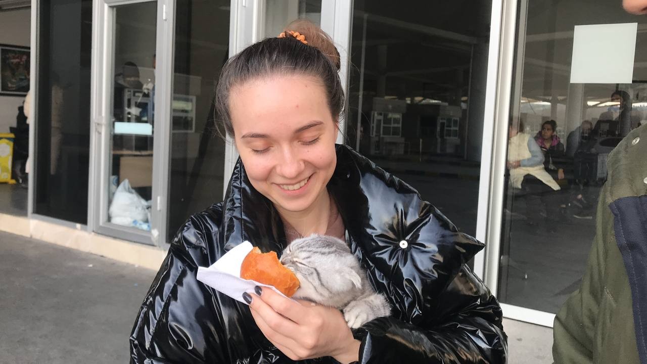 Ukrayna’dan kedisiyle birlikte geldi Ukrayna’dan otobüs ile günler süren yolculuğun ardından Türkiye’ye gelen Şamhal Tahirli, kedisini de yanında getirdi. Sahibiyle Türkiye’ye gelen ...