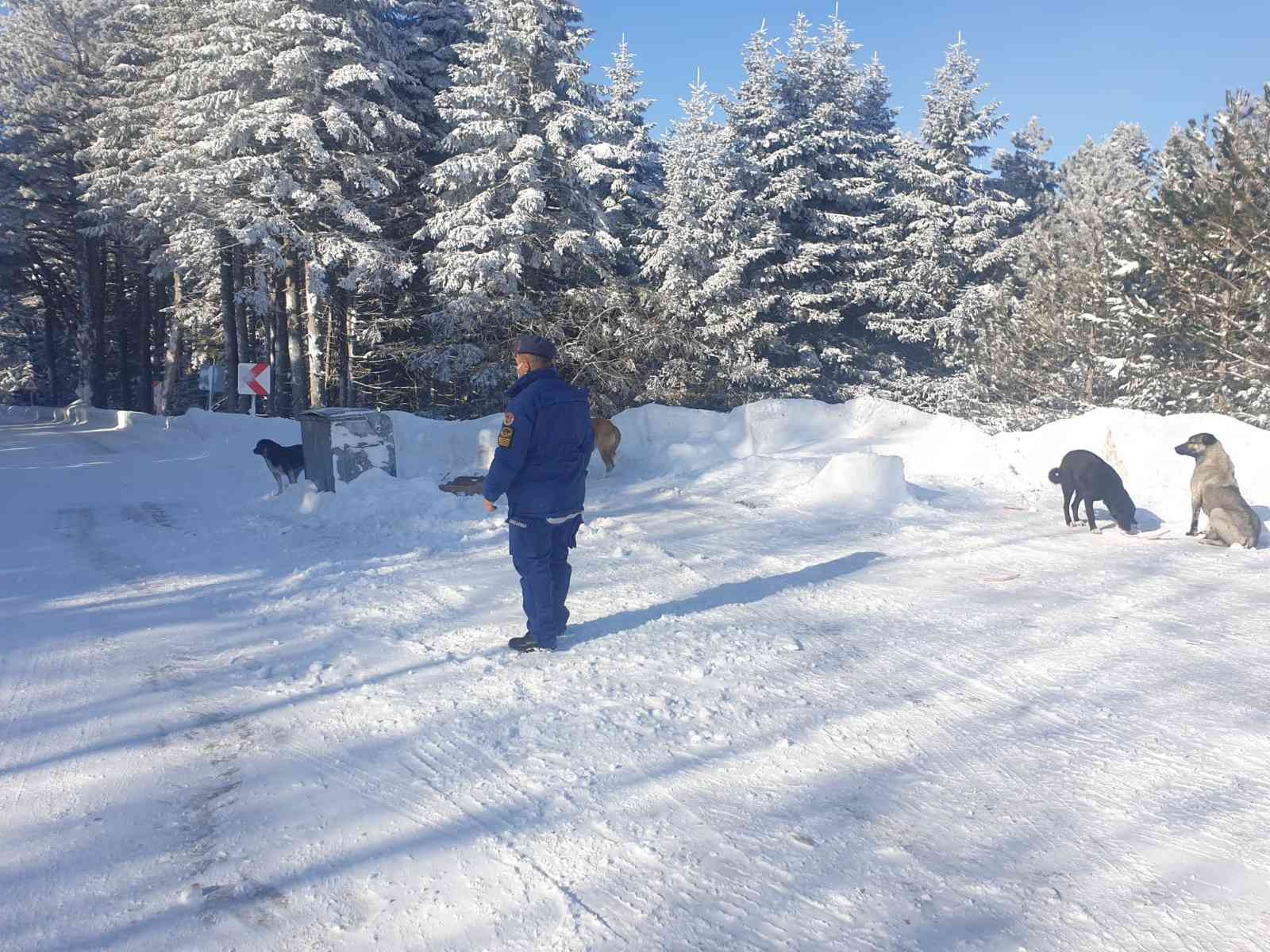 Uludağ’da aç kalan köpeklere jandarma şefkati Jandarma ekipleri, kar kalınlığının 2 metreyi aştığı kış turizminin önemli merkezlerinden Uludağ’da aç kalan köpekleri elleriyle besledi. Uludağ ...
