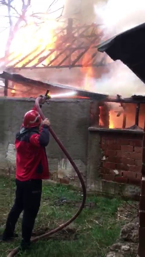 Alev alev yanan tek katlı ev kullanılamaz hale geldi Sakarya’nın Akyazı ilçesinde tek katlı ev alev alev yandı. İtfaiye ekiplerinin müdahalesiyle söndürülen yangında ev kullanılamaz hale geldi ...