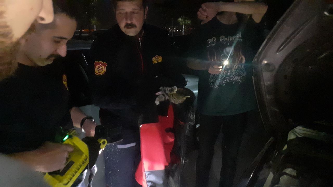 Araçta sıkışan kedi için seferber oldular Kocaeli’nin Darıca ilçesinde, otomobilin motor kısmına sıkışan yavru kedi, İtfaiye tarafından kurtarıldı. Olay, Kocaeli’nin Darıca ilçesi ...