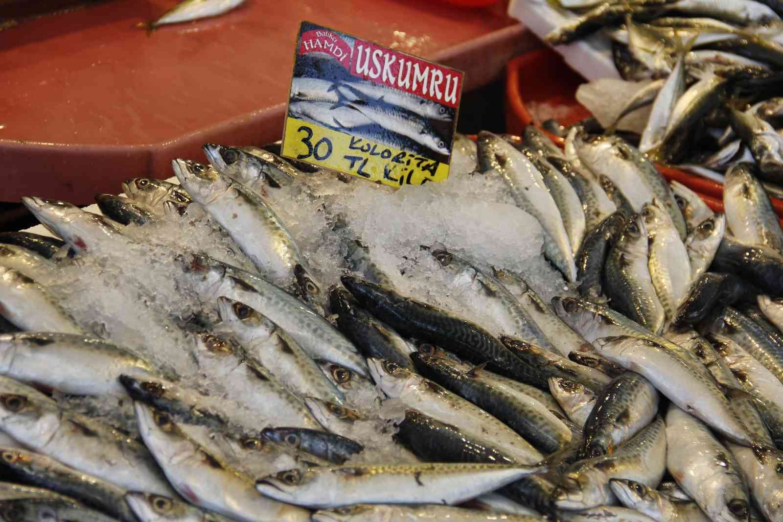 Avlanma yasağı öncesinde, tezgahta balık fiyatları KOCAELİ(İHA) – Kocaeli’de avlanma yasağının yaklaşmasına rağmen balık fiyatları geçtiğimiz aylardaki seviyelerini koruyor. 15 Nisan’da başlayacak ...