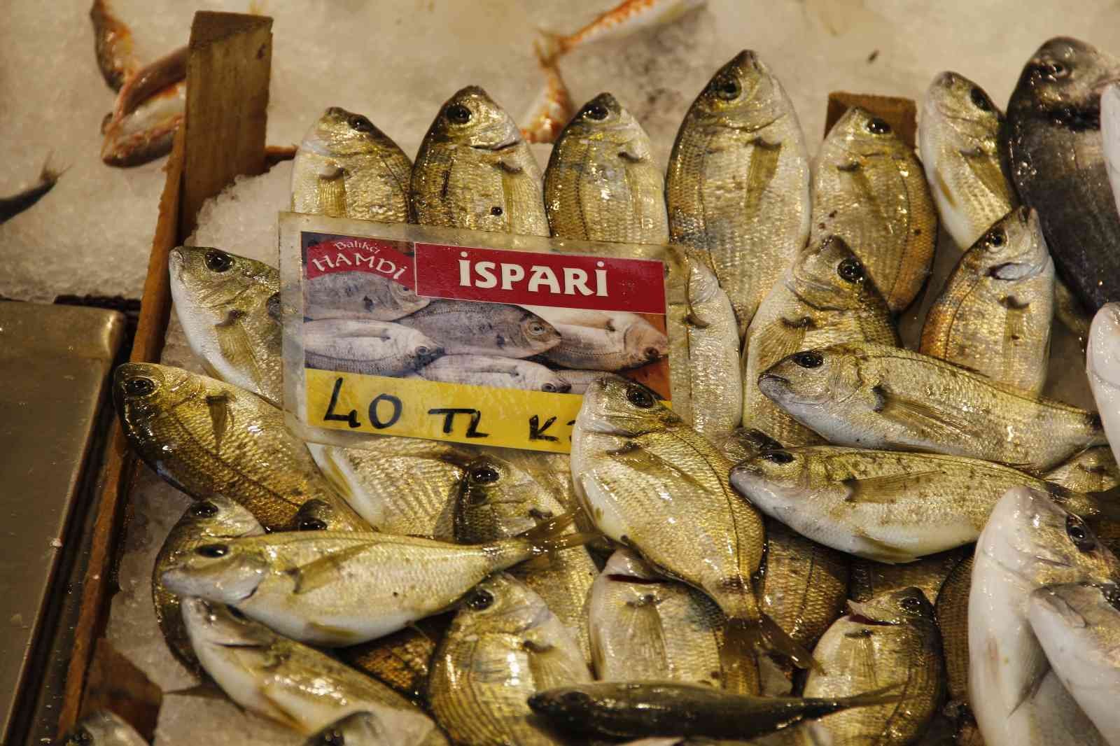 Avlanma yasağı öncesinde, tezgahta balık fiyatları KOCAELİ(İHA) – Kocaeli’de avlanma yasağının yaklaşmasına rağmen balık fiyatları geçtiğimiz aylardaki seviyelerini koruyor. 15 Nisan’da başlayacak ...