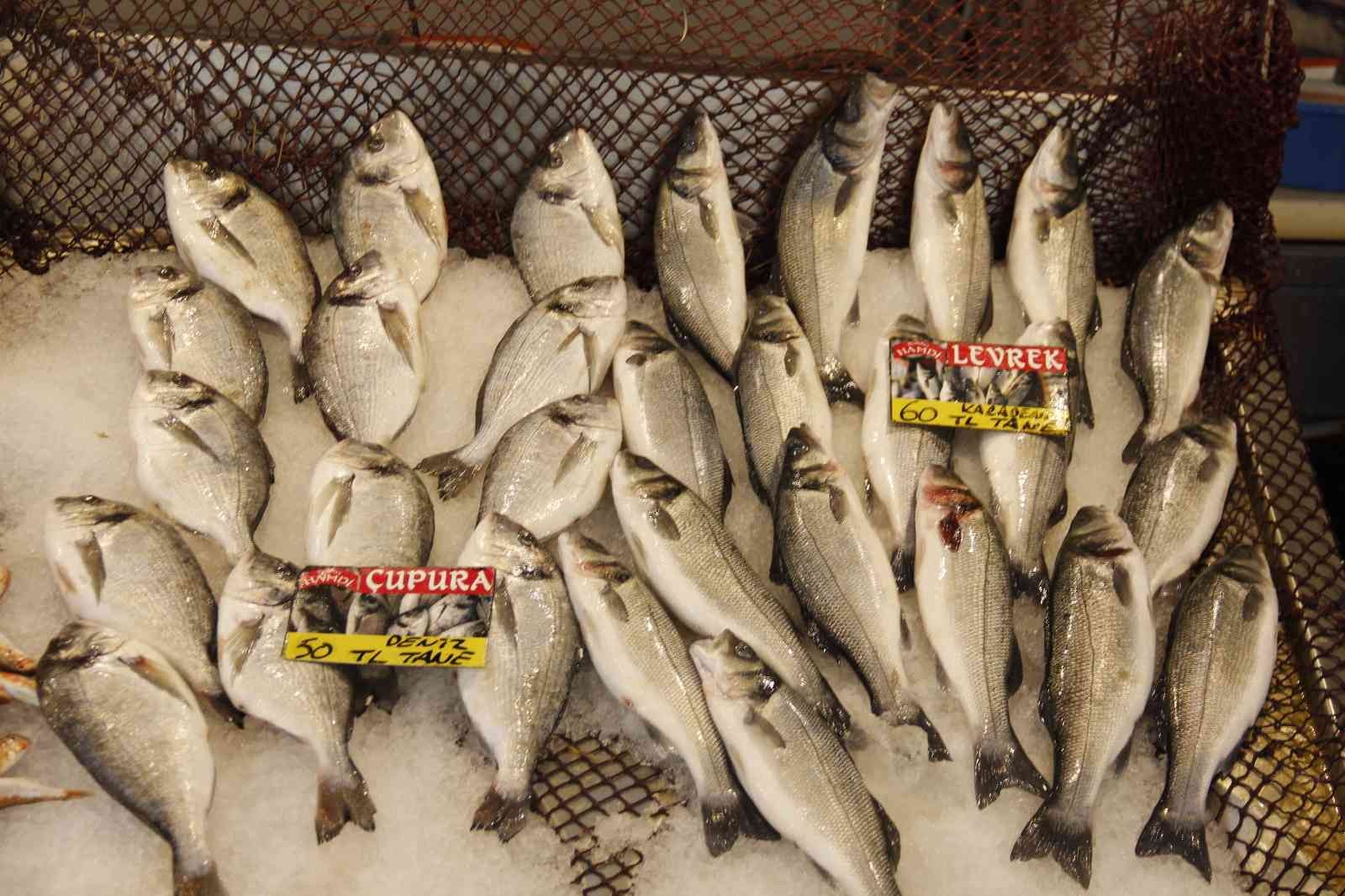 Avlanma yasağı öncesinde, tezgahta balık fiyatları KOCAELİ(İHA) – Kocaeli’de avlanma yasağının yaklaşmasına rağmen balık fiyatları geçtiğimiz aylardaki seviyelerini koruyor. 15 Nisan’da başlayacak ...