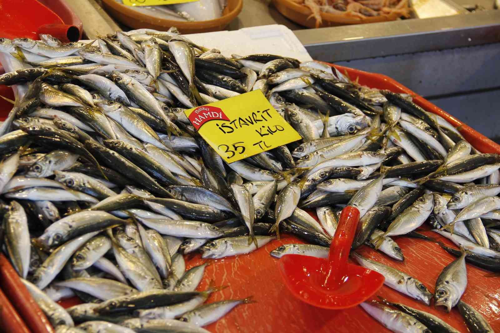 Avlanma yasağı öncesinde, tezgahta balık fiyatları KOCAELİ(İHA) – Kocaeli’de avlanma yasağının yaklaşmasına rağmen balık fiyatları geçtiğimiz aylardaki seviyelerini koruyor. 15 Nisan’da başlayacak ...