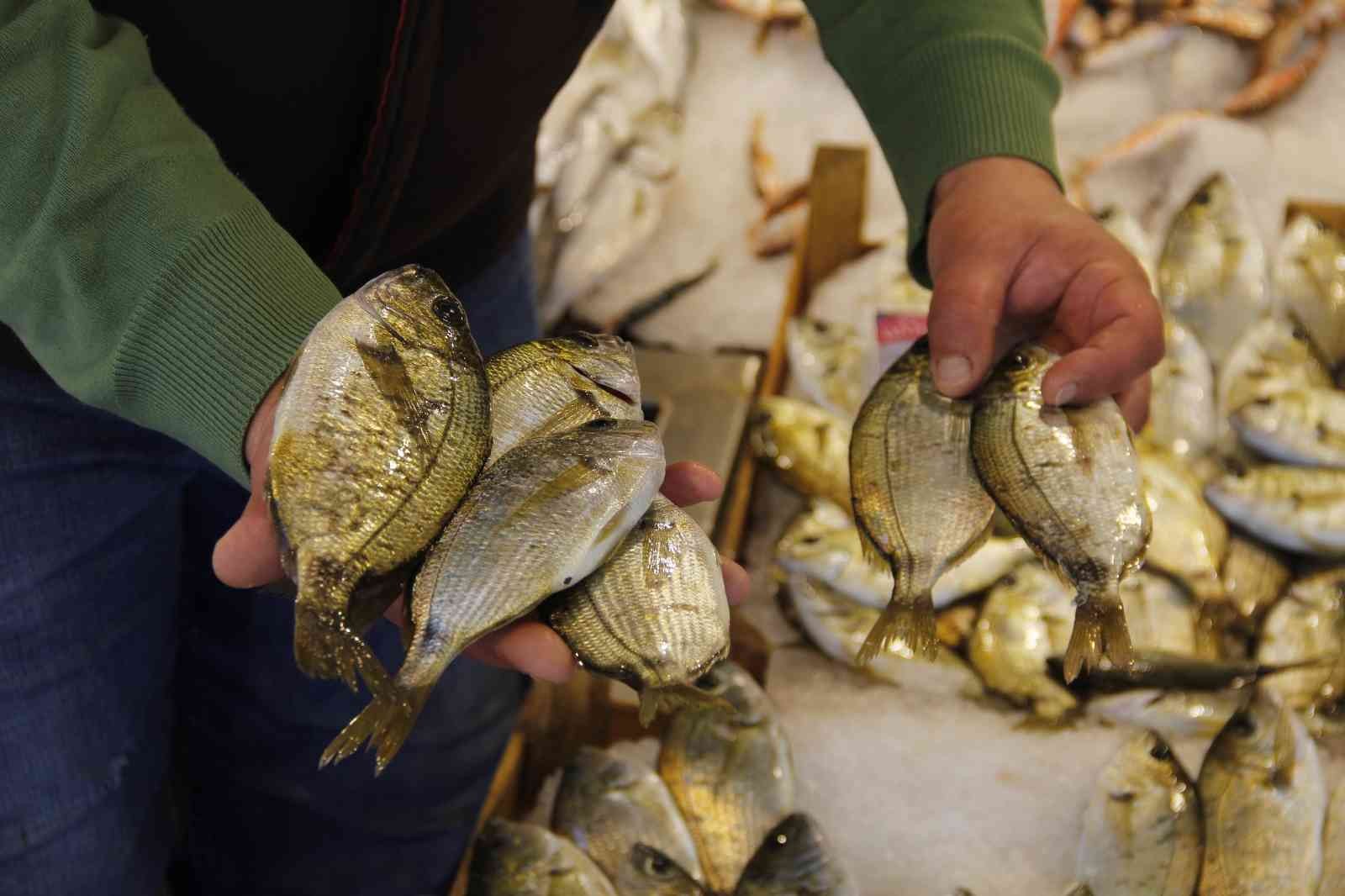 Avlanma yasağı öncesinde, tezgahta balık fiyatları KOCAELİ(İHA) – Kocaeli’de avlanma yasağının yaklaşmasına rağmen balık fiyatları geçtiğimiz aylardaki seviyelerini koruyor. 15 Nisan’da başlayacak ...