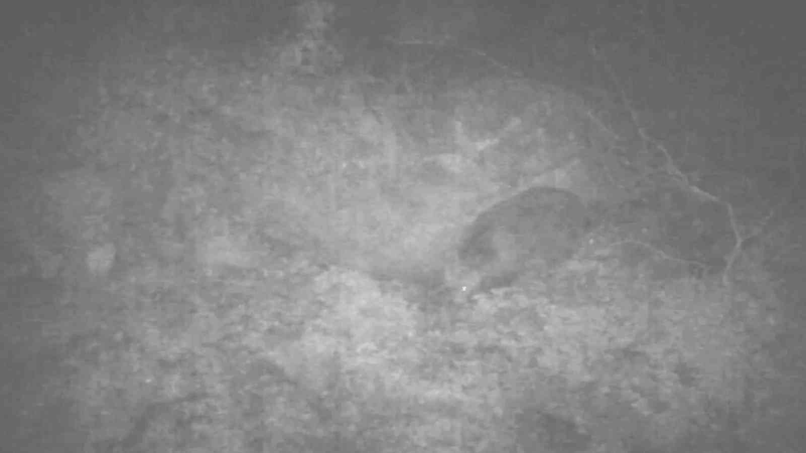 Ayı ile burun buruna gelecekken aldıkları kararla ölümden döndüler Ormanlık alanda keşfettikleri mağaranın derinliklerine inmekten son anda vazgeçen dağcılar, ölümden döndüklerini bölgeye yerleştirdikleri ...