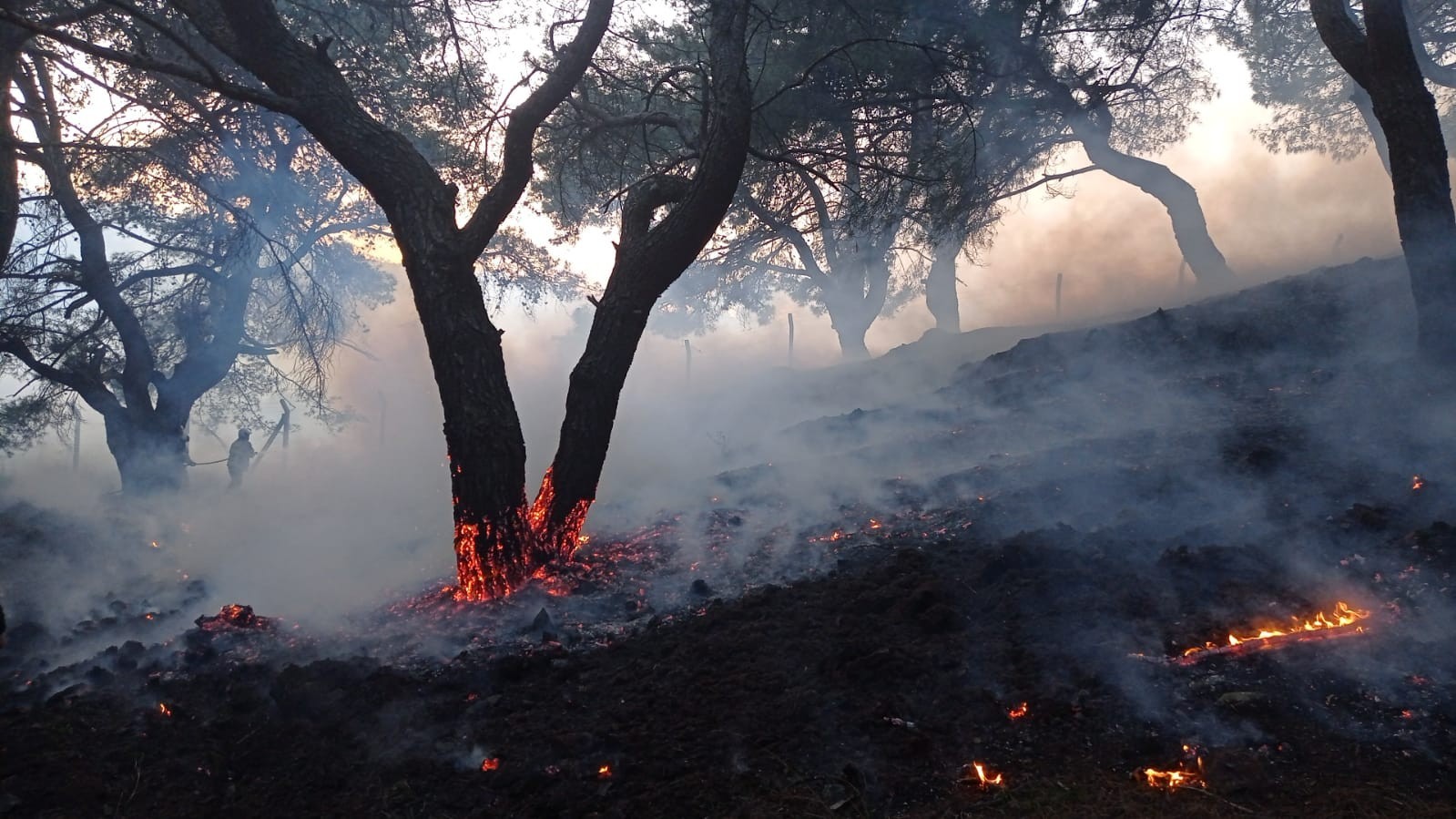 Balıkesir’de gece boyunca çıkan 3 orman yangını söndürüldü Balıkesir’in Burhaniye ve Ayvalık ilçelerinde 3 farklı noktasında çıkan orman yangınları sabahın ilk ışıkları ile söndürüldü. Dün akşam ...