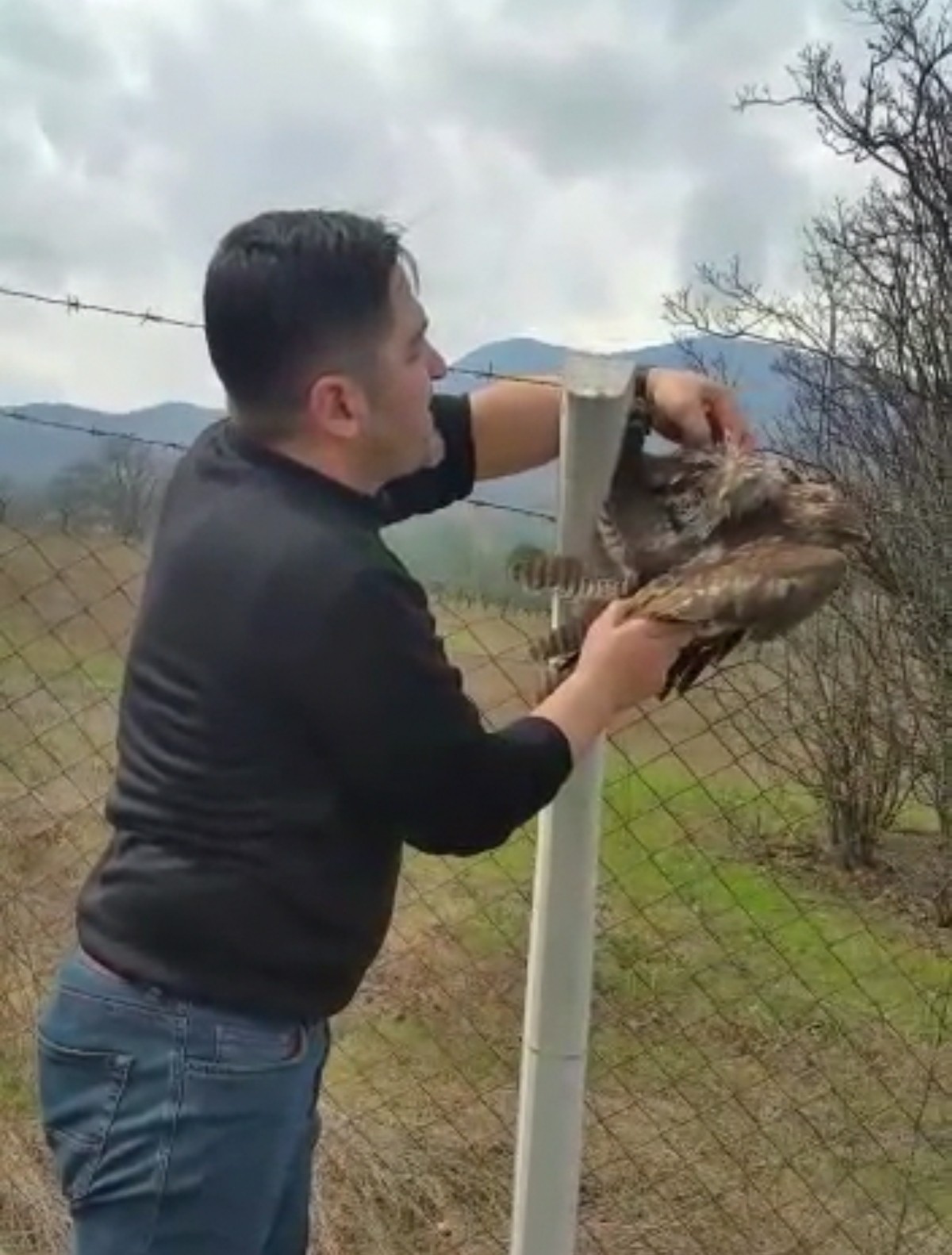 Bursa’da çiftlere takılan şahin kurtarıldı Bursa’nın İnegöl ilçesinde koruma tellerine takılarak mahsur kalan şahin, vatandaşların dikkati üzerine kurtarıldı. Olay Yeniceköy Göleti ...