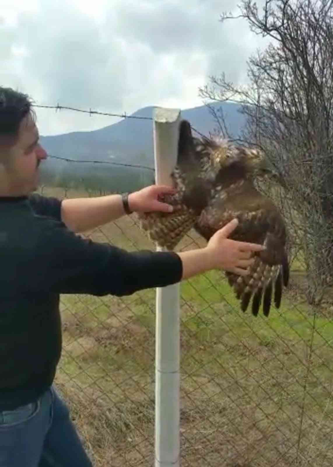Bursa’da çiftlere takılan şahin kurtarıldı Bursa’nın İnegöl ilçesinde koruma tellerine takılarak mahsur kalan şahin, vatandaşların dikkati üzerine kurtarıldı. Olay Yeniceköy Göleti ...