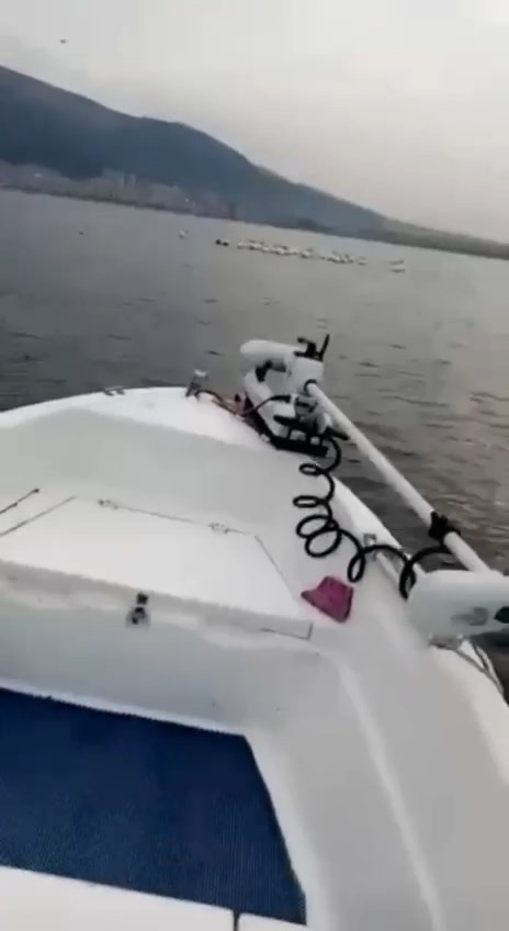 Bursa’da pelikan sürüsü kameralara yansıdı Gemlik’te sabah balığa çıkan Serdar Döner ve Adnan Balı pelikan sürüsüne denk geldi. İki balıkçı o anları cep telefonuyla kayıt altına aldı. Bir ...