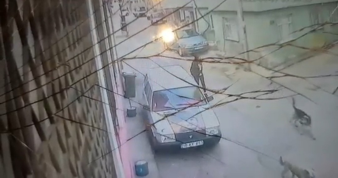 Bursa’da yolda yürüyen genç kız köpeğin saldırısına uğradı Bursa’da sabah saatlerinde okula gitmek isteyen genç kız sokak köpeğinin saldırısına uğradı. O anlar güvenlik kamerasına yansıdı. Olay, dün sabah ...